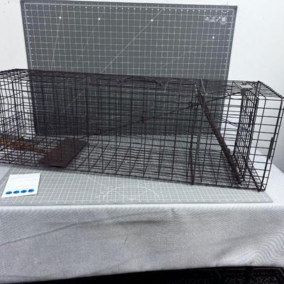 Racoon WIRE TRAP 