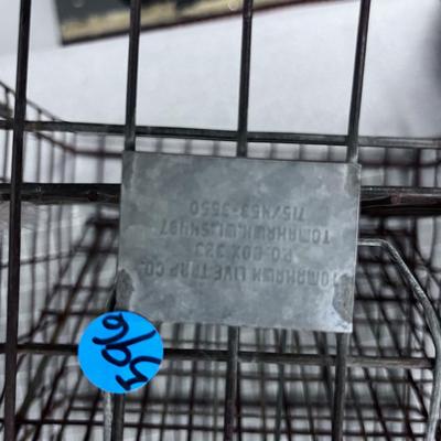 Racoon WIRE TRAP 