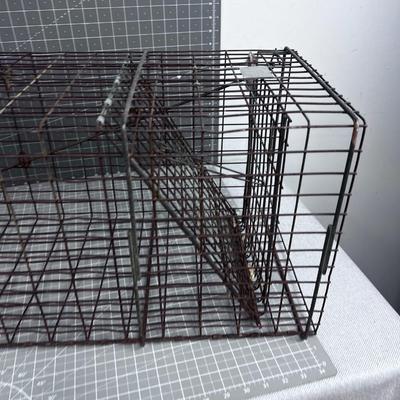 Racoon WIRE TRAP 