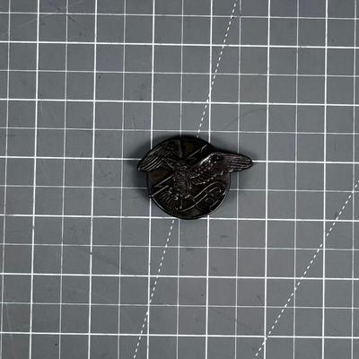 WWI or WWII Aviation Pins/ Wing European? 