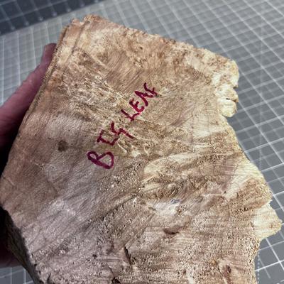 Piece of Big Leaf MAPLE Burl WOW!