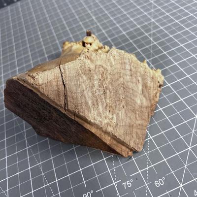 Piece of Big Leaf MAPLE Burl WOW!
