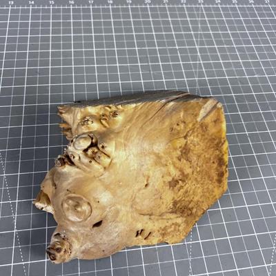 Piece of Big Leaf MAPLE Burl WOW!