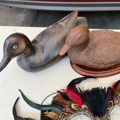 Duck duck feathers