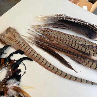 Duck duck feathers
