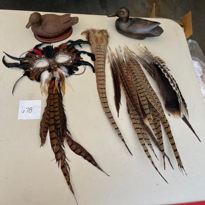 Duck duck feathers