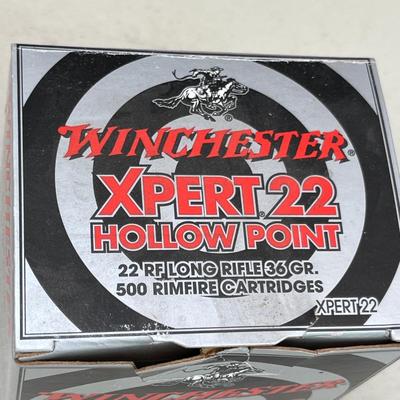 Winchester 22 long rifle bullets