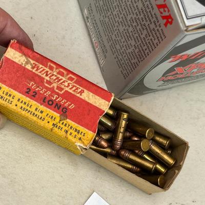 Winchester 22 long rifle bullets