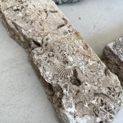 Fossil style rocks