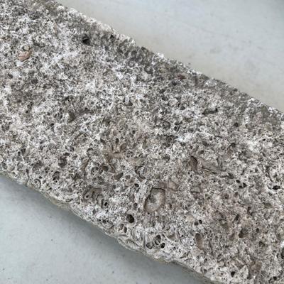 Fossil style rocks