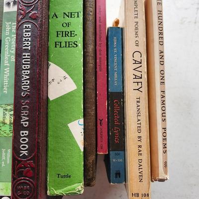 Hardback Book lot including some vintage