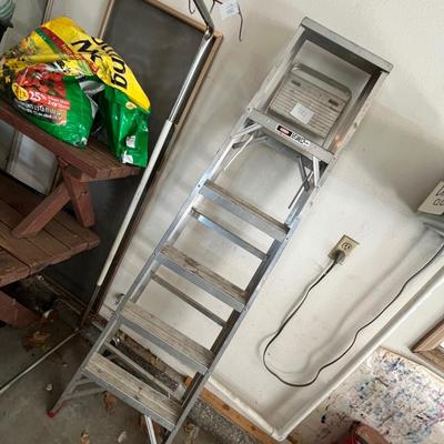 6 foot ladder