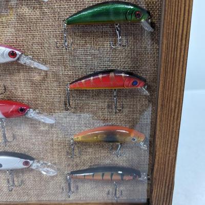 Fishing Lures Shadow Box