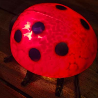 Lady Bug Light