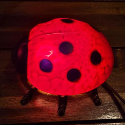 Lady Bug Light