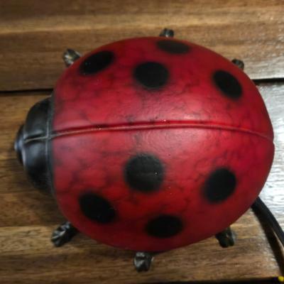 Lady Bug Light