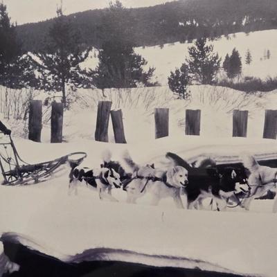 Framed Photograph of Man & Sledding Dogs