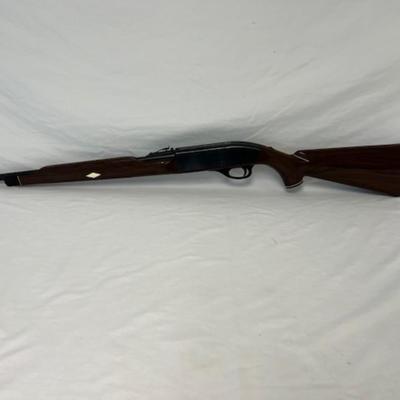 Remington Nylon 66 .22LR Mohawk Brown Rifle
