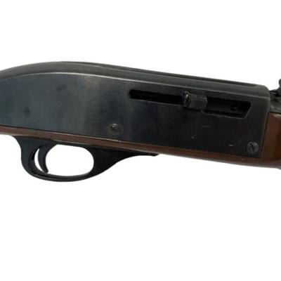 Remington Nylon 66 .22LR Mohawk Brown Rifle