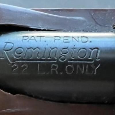 Remington Nylon 66 .22LR Mohawk Brown Rifle