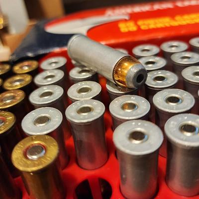 Assortment of 44 Magnum Ammunition