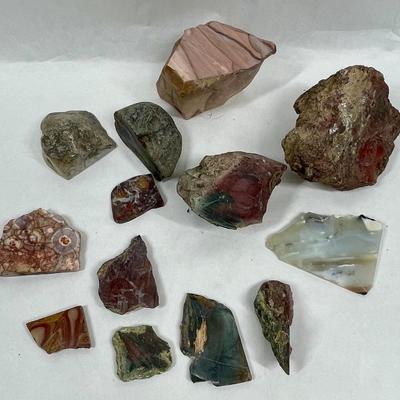 13 rocks fossils - rock collection