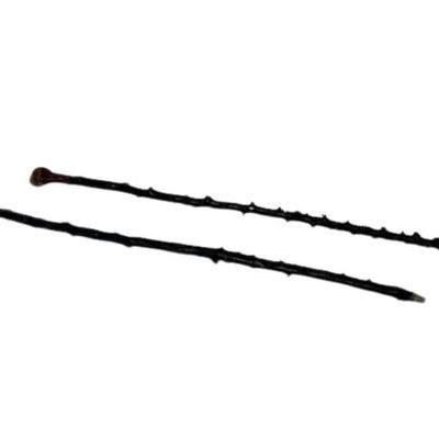 Pair of Irish Shilelagh Blackthorn Walking Sticks