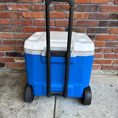 Igloo Ice Chest 60qt