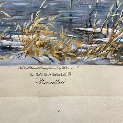 1125 Vintage Signed A. STRAGGLER Broadbill Engraving by Roland Clark 250/ Artist's Proof