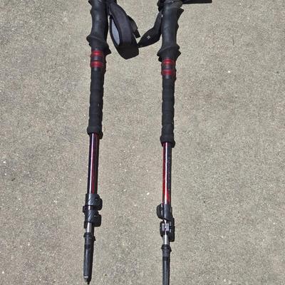 Black Diamond Trail Shock Poles