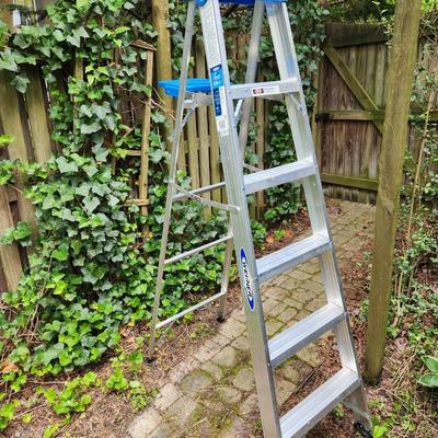 Werner 6Ft Aluminum Ladder