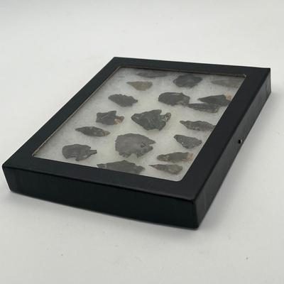 LOT 76: Arrowhead Collection in Display Case