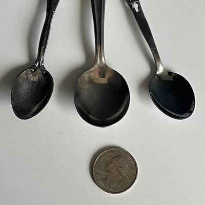 3 Piece Collector Spoon Set