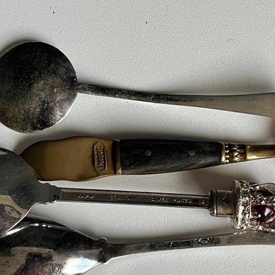 4 Piece Collector Spoon Set