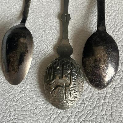 Assorted 3-Piece Silver Spoons