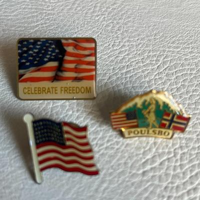 Various Set of 7 Pins - Romney Pin, Flag Pins etc.!