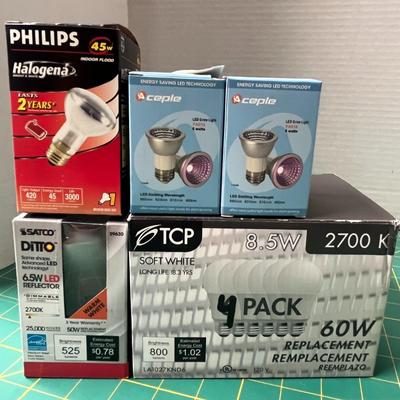 Lot of 7 Boxes of Various Lightbulbs
