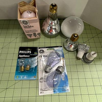 Lot of Various Lightbulbs