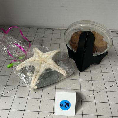 Decorative Home Items - Starfish and Leaf 