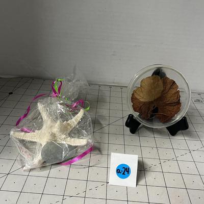 Decorative Home Items - Starfish and Leaf 