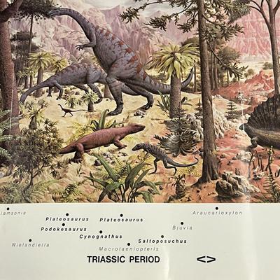 Dinosaur Poster 35x12