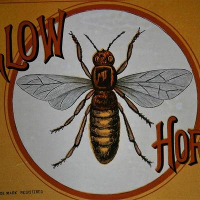 "YELLOW HORNET" Inner Lid Cigar Label, form early 1900's