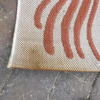 2 outdoor rugs