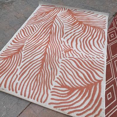 2 outdoor rugs