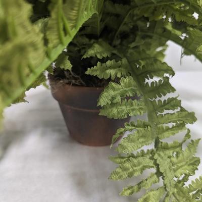 Artificial Fern Ceramic Pot