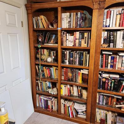 Broadmoore Lighted Bookshelves 48" x84"