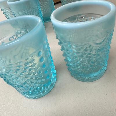 Northwood Nautalist Tumblers