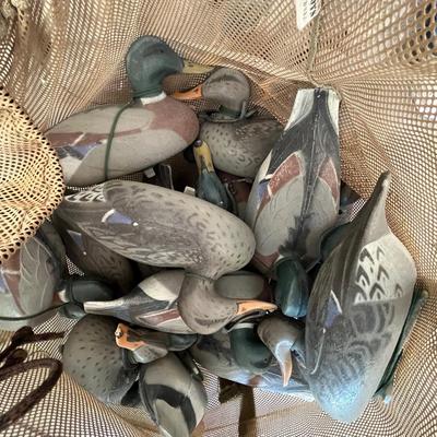 XL bag full of weighted decoy ducks