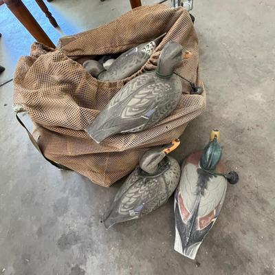 XL bag full of weighted decoy ducks