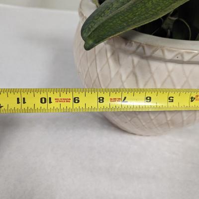 Ceramic Pottery Planter